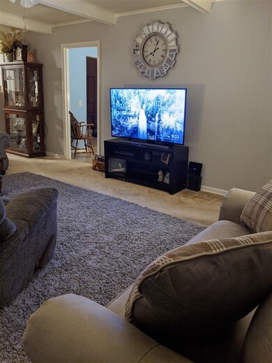 102 Cliffside Ave, Shelbyville, TN 37160 - photo 3