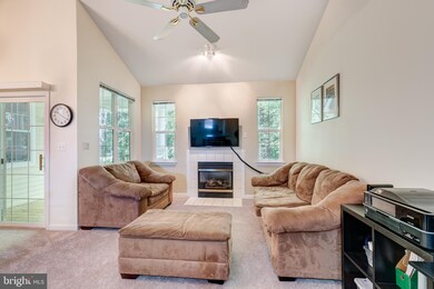 5004 Willow Branch Way unit 304, Owings Mills, MD 21117 - photo 6