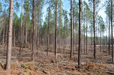 Mollie Mooney Tract 7 Pic5