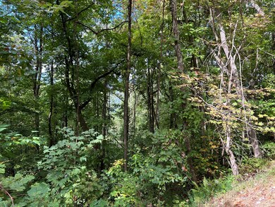 72 Wilderness Creek Way, Murphy, NC 28906 - photo 4