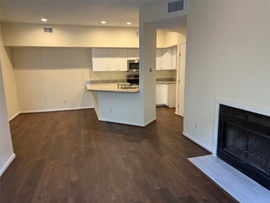 2121 El Paseo St unit 2003, Houston, TX 77054 - photo 6
