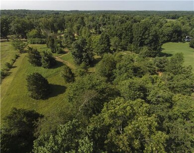 This view is of the back 3 acres of this property! 
