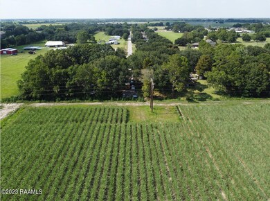 W Menard Rd Land Photo 3