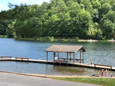 858 Utsonati Ln unit L101U26, Brevard, NC 28712 - photo 6