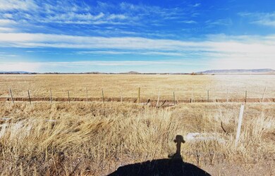 0 Gallup Trail unit 25580654, San Luis, CO 81152 - photo 4