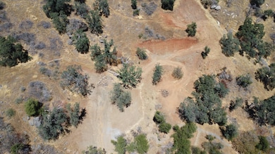 0 Apn 190-130-09s unit 236264, Squaw Valley, CA 93675 - photo 3