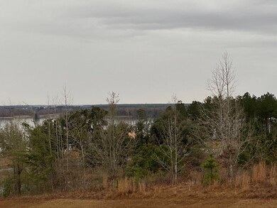 Northeast view from property