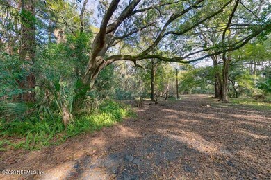 Woods 1