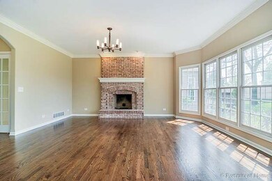 3948 Bluejay Ln, Naperville, IL 60564 - photo 7