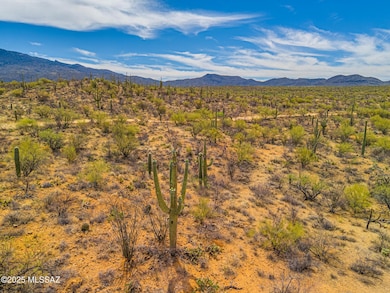 DJI_20250524100727_0762_D123