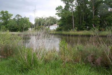 10405 Villanova Rd, Jacksonville, FL 32218 - photo 7