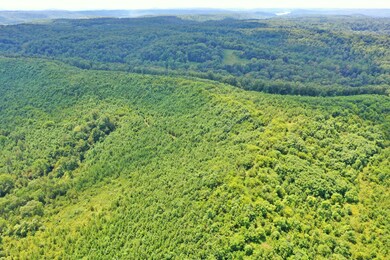 0 Mayberry Prong Rd unit 2182866, Linden, TN 37096 - photo 4