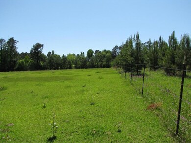 Highway 437 pasture is one of 3 large pastures.  This land can be subdivided into as many as 5 - 5+ acre parcels as per St Tammany Zoning & Regualtions.