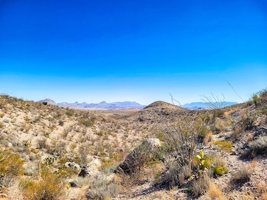 104 Tanque Caballo, Terlingua, TX 79852 - photo 2