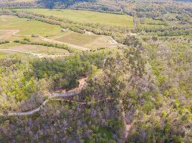 0 Chapel Farm Rd unit RTC2383248, Clifton, TN 38425 - photo 7