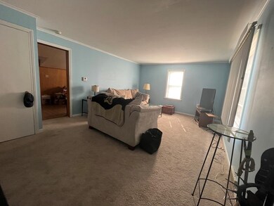 436 E Wilson St, Batavia, IL 60510 - photo 4