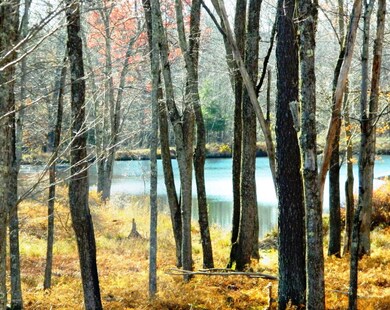 222 Blue Ridge Dr, Canadensis, PA 18325 - photo 5