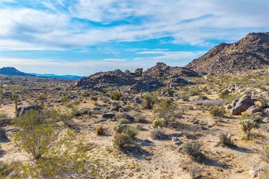 62570 Turtle Rd, Joshua Tree, CA 92252 - photo 3