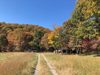 906 Wolfe Rd, Covington, VA 24426 - photo 3