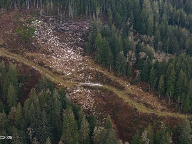 DJI_20250209142604_0111_D