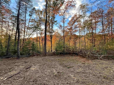 unlisted-address, Hamblen Township, IN 46164 - photo 6