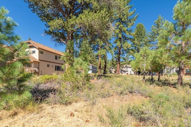 11381 Wolverine Cir, Truckee, CA 96161 - photo 4