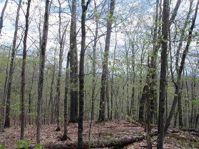 14 Knights Hill Rd unit Lot 14C, Bridgton, ME 04009 - photo 6