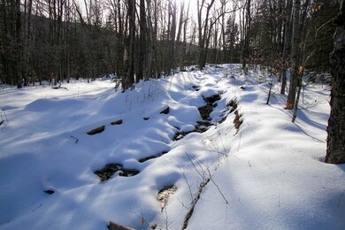 322 Sears Rd, Andover, VT 05143 - photo 5