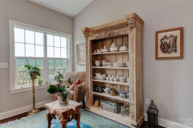 46 Rose Creek Rd unit 56/57, Leicester, NC 28748 - photo 6