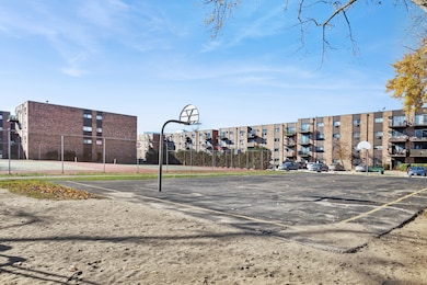 Basket Ball Court