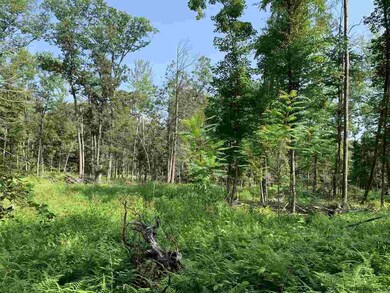 Lot 3 TBD Cherry Hill Rd, Stone Ridge, NY 12484 - photo 4