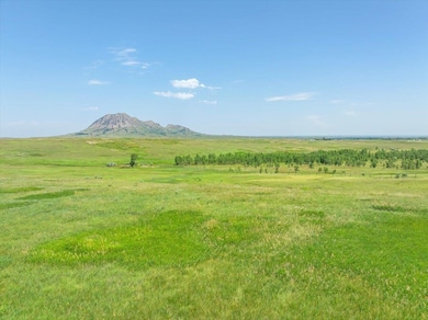 TBD 40 ac. S Dakota 79 unit Lot 2, Sturgis, SD 57785 - photo 3
