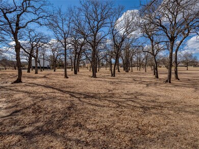 126 Maggie Lee Ct, Springtown, TX 76082 - photo 5