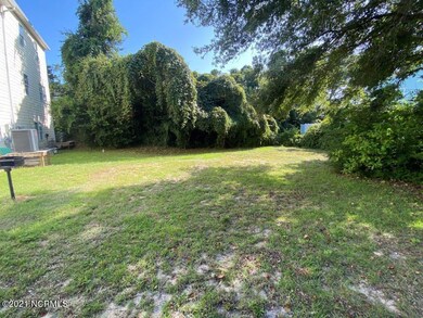 4 Back yard