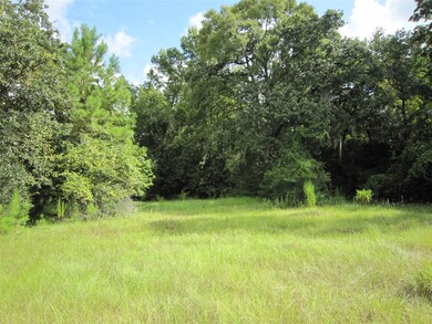 22907 Edward Ln, Tomball, TX 77377 - photo 2