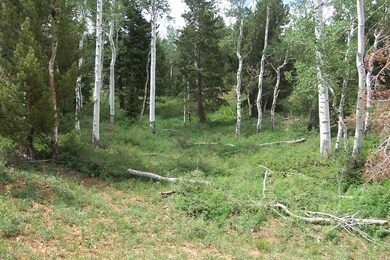 548 W Kokopelli Loop unit SVE u-C b-B lot 31, Brian Head, UT 84719 - photo 4