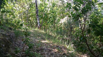 305 Hacienda Way, Grants Pass, OR 97526 - photo 7