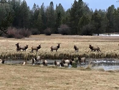 55655 Gatehouse Ln, Bend, OR 97707 - photo 4