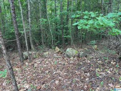 715 Fallview Ct, Odenville, AL 35120 - photo 5