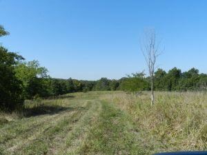 Tobin-40 Acres (1)