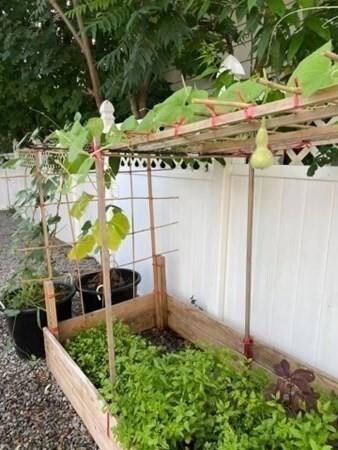 166 Fairhaven Rd, Worcester, MA 01606 - photo 6