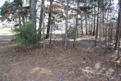 202 Mount Ash Ln, Poplar Bluff, MO 63901 - photo 5