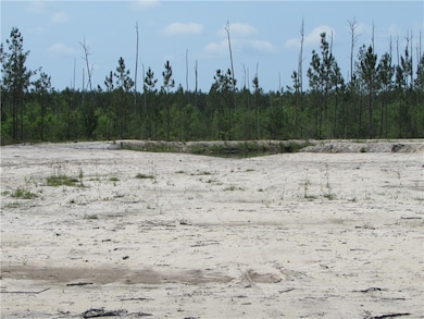 Looking off toward the backside of the property.