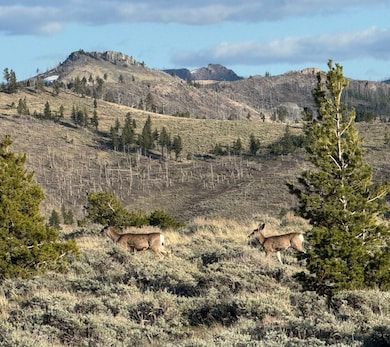 Tbd, Big Timber, MT 59011 - photo 2