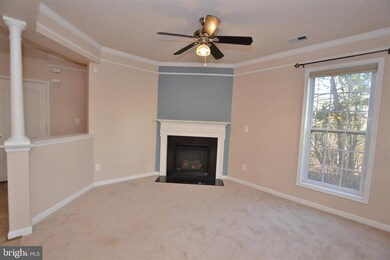 41998 Blue Flag Terrace, Stone Ridge, VA 20105 - photo 5