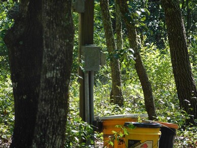 239 River Moss Rd, Reidsville, GA 30453 - photo 4