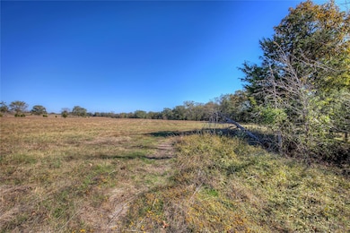 TBD Tract B County Road 1468, Quitman, TX 75783 - photo 5