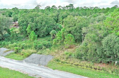 350 S Olivo St, Montura, FL 33440 - photo 4