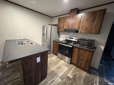 308 S Main St, Iuka, IL 62849 - photo 7