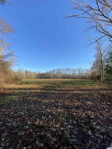 TBD Oakmont Ln, Conway, SC 29526 - photo 6